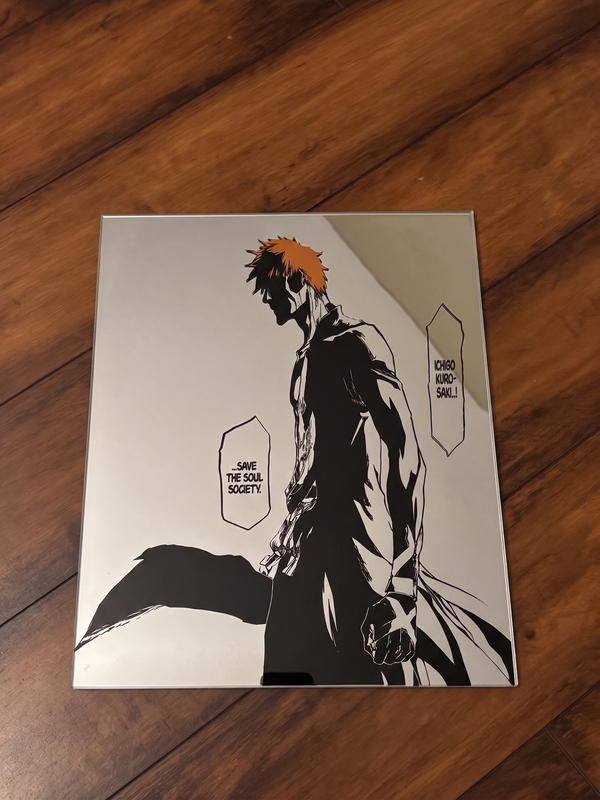 Ichigo Kurosaki Mirror