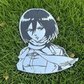 Mikasa AOT Mirror
