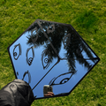 JJK Prison Realm Mirror