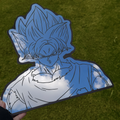 Goku DBZ Mirror