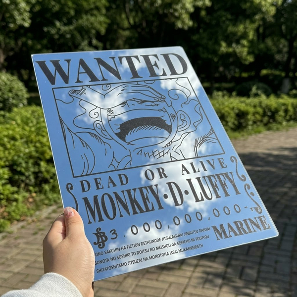Monkey D. Luffy Wanted Poster Mirror