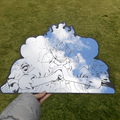Luffy JoyBoy Mirror
