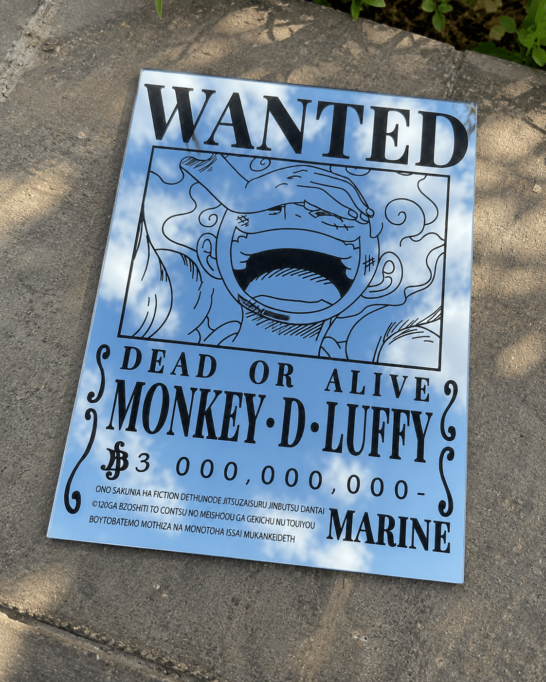 Monkey D. Luffy Wanted Poster Mirror